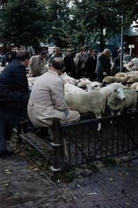 849774 Afbeelding van veehandelaren bij de schapen op de veemarkt aan de Croeselaan te Utrecht.
